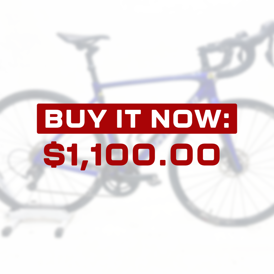 Specialized Roubaix Comp 54cm -  Road Bike Rental (D8)